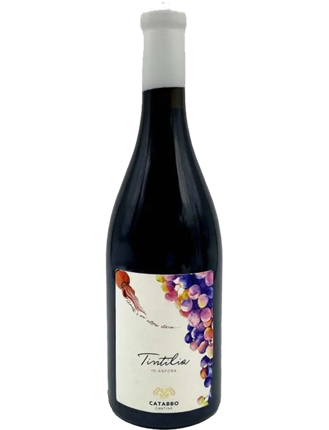 Tintilia in Anfora "Bio" - Tintilia del Molise DOC di Catabbo