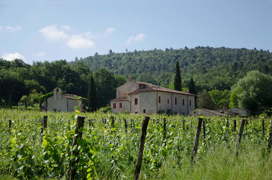 Il Drago e La Fornace: Un Viaggio Sensoriale nel Cuore della Toscana