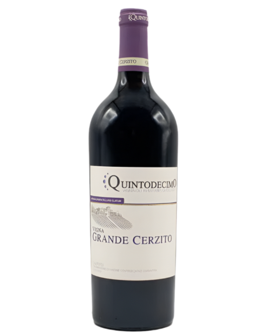 Vigna Grande Cerzito Taurasi Riserva